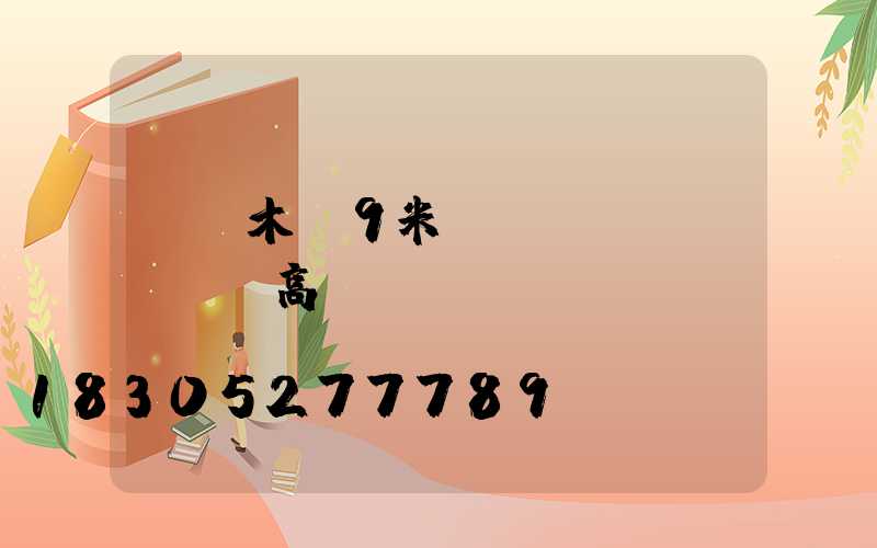 烏魯木齊9米廣場(chǎng)高桿燈