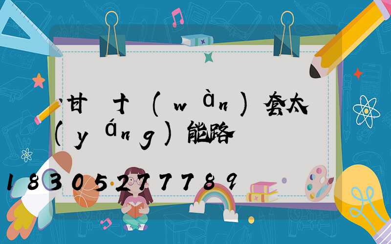 甘肅十萬(wàn)套太陽(yáng)能路燈
