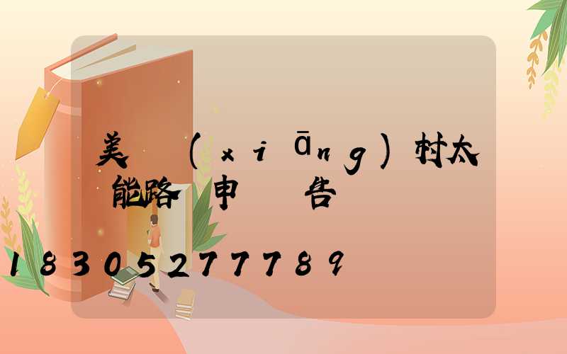 美麗鄉(xiāng)村太陽能路燈申請報告