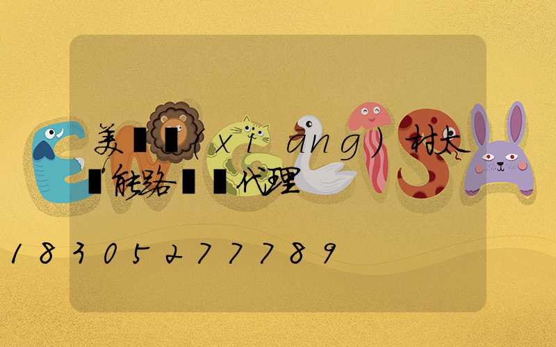 美麗鄉(xiāng)村太陽能路燈總代理