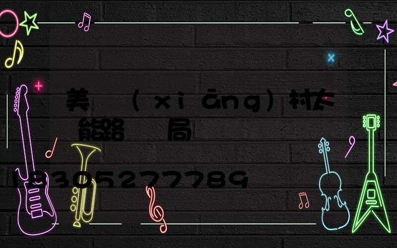 美麗鄉(xiāng)村太陽能路燈騙局