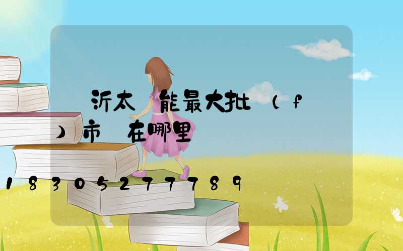 臨沂太陽能最大批發(fā)市場在哪里