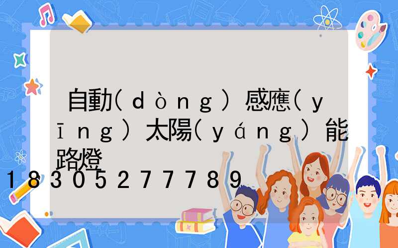 自動(dòng)感應(yīng)太陽(yáng)能路燈