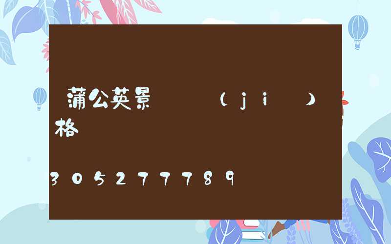 蒲公英景觀燈價(jià)格