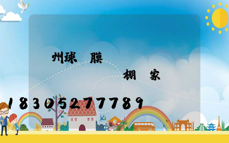 蘭州球場膜結(jié)構(gòu)遮陽棚廠家