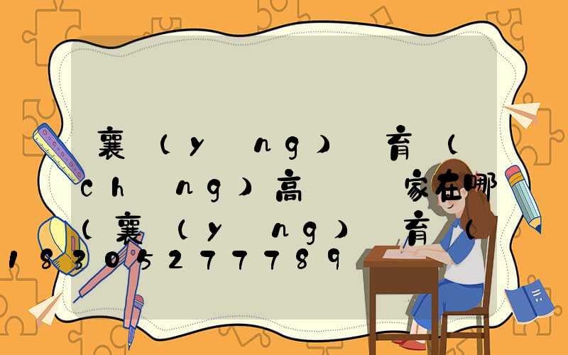 襄陽(yáng)體育場(chǎng)高桿燈廠家在哪(襄陽(yáng)體育場(chǎng)高桿燈廠家在哪里)