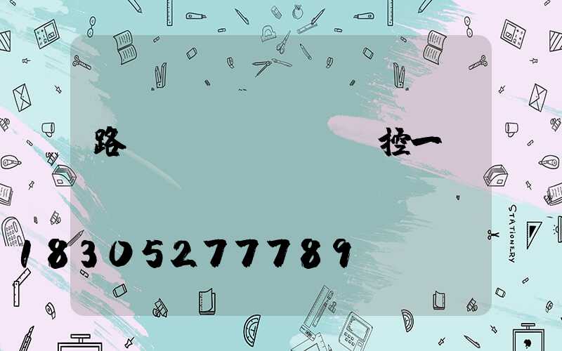 路燈監(jiān)控一體桿