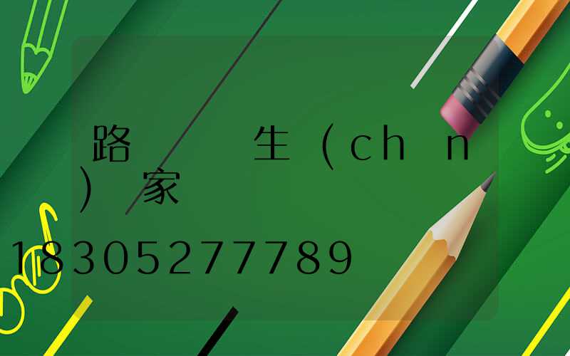 路燈裝飾燈生產(chǎn)廠家