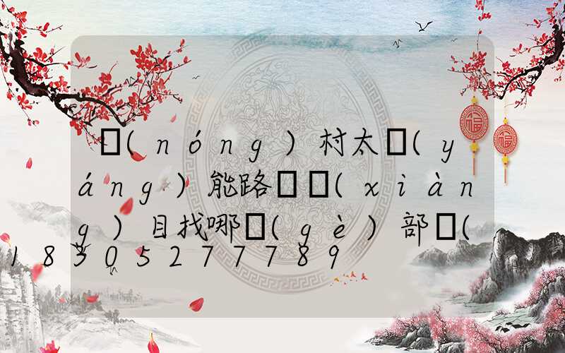 農(nóng)村太陽(yáng)能路燈項(xiàng)目找哪個(gè)部門(mén)