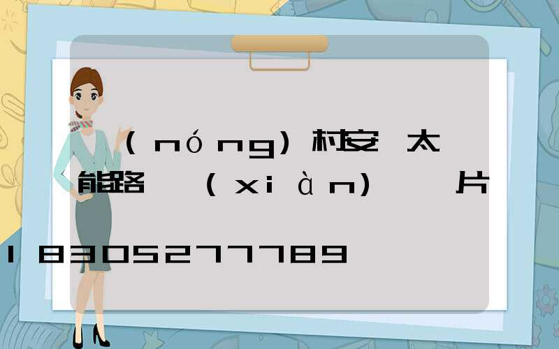 農(nóng)村安裝太陽能路燈現(xiàn)場圖片