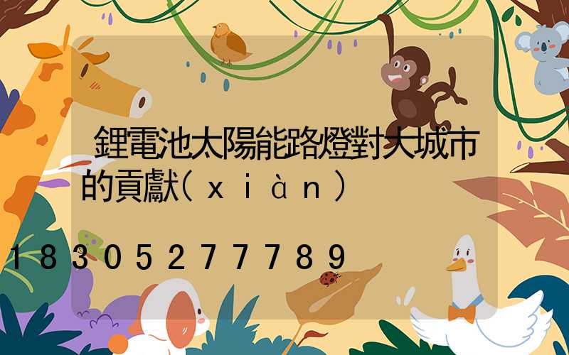 鋰電池太陽能路燈對大城市的貢獻(xiàn)