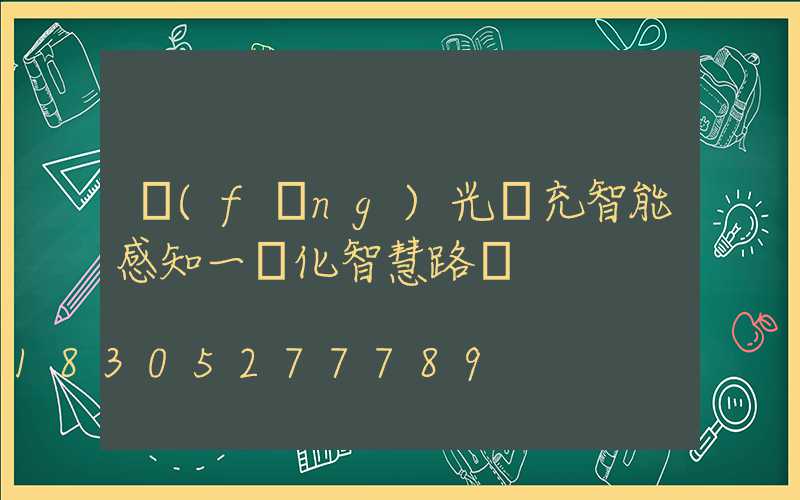 風(fēng)光儲充智能感知一體化智慧路燈